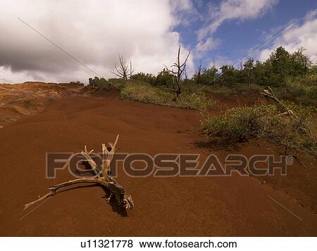 Waimea Canyon State Park, Kauai, Hawaii View Large Photo Image Stock Photo - Waimea Canyon State Park, Kauai, Hawaii . Fotosearch