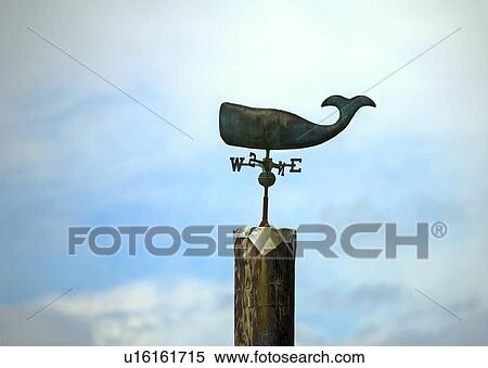 Weather vane View Large Photo Image Stock Photography - Weather vane. Fotosearch