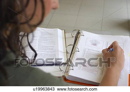 Woman studying her Bible View Large Photo Image Stock Image - Woman studying her Bible. Fotosearch
