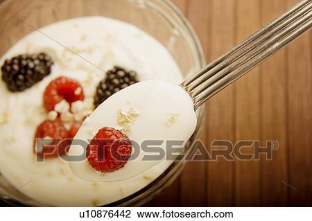 Yogourt and berries View Large Photo Image Stock Image - Yogourt and berries. Fotosearch