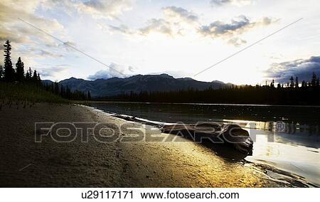 Bank of a mountain stream View Large Photo Image Stock Image - Bank of a mountain stream. Fotosearch