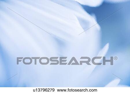 Blue and white background View Large Photo Image Stock Photo - Blue and white background. Fotosearch