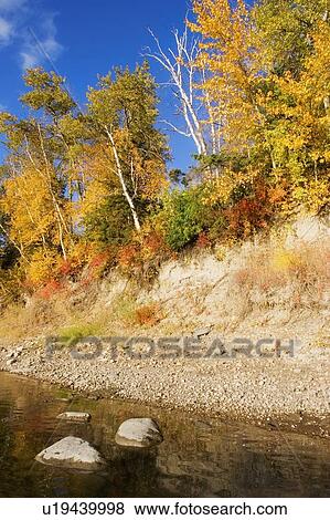 Fall Foliage on shoreline View Large Photo Image Stock Photo - Fall Foliage on shoreline. Fotosearch