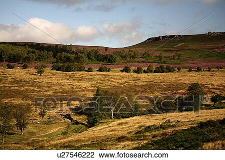 Landscape of rolling hills View Large Photo Image Stock Image - Landscape of rolling hills. Fotosearch