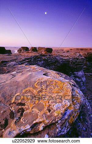 Lichen on rock, Jerusalem, Sweet Grass Montana, USA View Large Photo Image Stock Photo - Lichen on rock, Jerusalem, Sweet Grass Montana, USA. Fotosearch