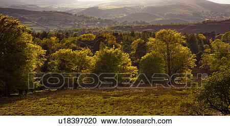 Parkland in Derbyshire, England View Large Photo Image Stock Image - Parkland in Derbyshire, England. Fotosearch