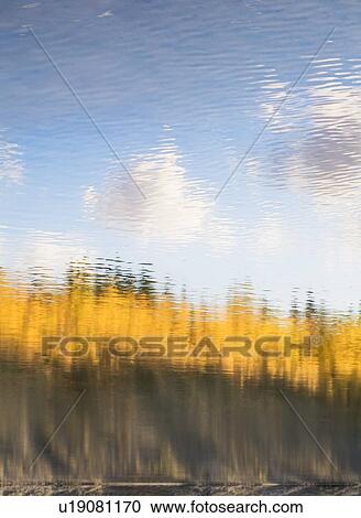 Reflection of fall foliage in water View Large Photo Image Stock Image - Reflection of fall foliage in water. Fotosearch