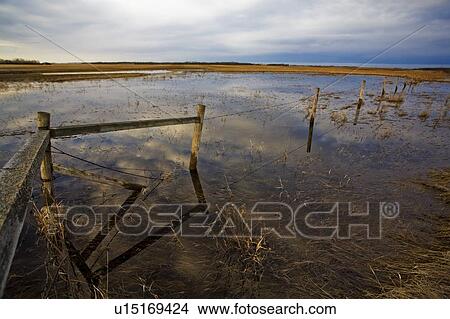 Picture - Standing water in a field. Fotosearch
