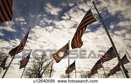 Stock Photography - A group of American flags. Fotosearch