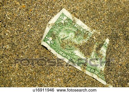 American dollar buried in the sand View Large Photo Image Stock Photograph - American dollar buried in the sand. Fotosearch