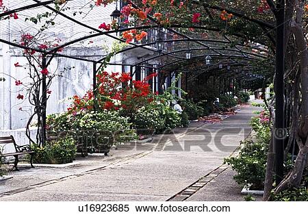 Archway with flowers, Panama View Large Photo Image Stock Photography - Archway with flowers, Panama. Fotosearch