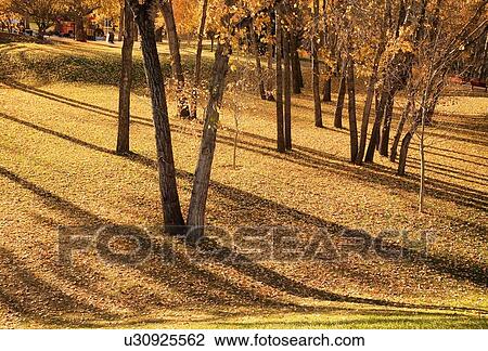 Autumn trees View Large Photo Image Stock Image - Autumn trees. Fotosearch