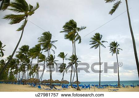 Stock Photo - Beach resort in the Dominican Republic, Caribbean. Fotosearch