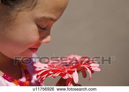 Child with flower View Large Photo Image Stock Photograph - Child with flower. Fotosearch