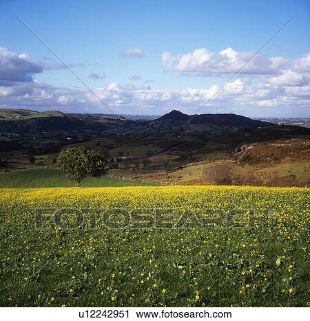 Stock Image - Co Armagh, Slieve Gullion, Ireland. Fotosearch