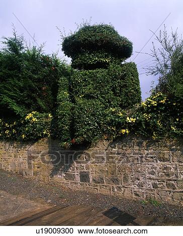 Co Down, Scarva, 19th C. topiary figure of William III at railway station, Ireland View Large Photo Image Stock Image - Co Down, Scarva, 19th C. topiary figure of William III at railway station, Ireland. Fotosearch