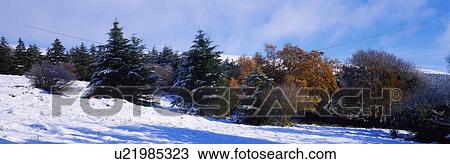 Co Wicklow, Ireland View Large Photo Image Stock Image - Co Wicklow, Ireland. Fotosearch