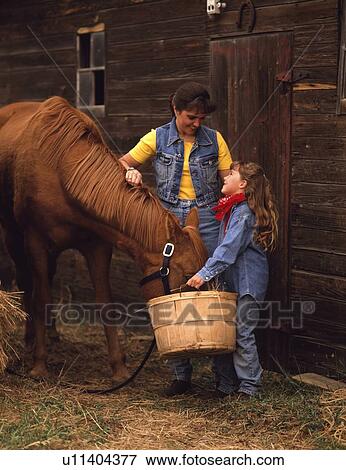 Stock Photo - Feeding the horse. Fotosearch
