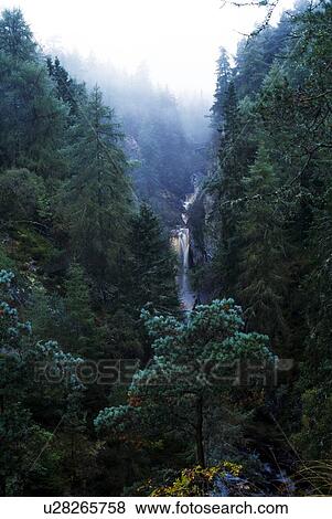 Forest and waterfall in Highlands, Scotland View Large Photo Image Stock Photo - Forest and waterfall in Highlands, Scotland. Fotosearch