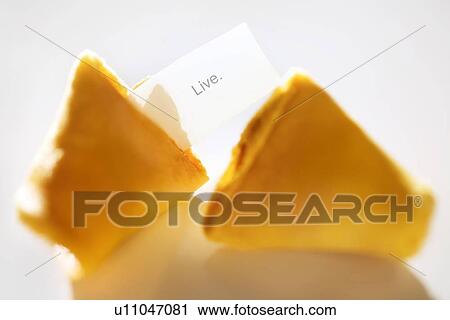 Fortune cookie that says "live" View Large Photo Image Stock Image - Fortune cookie that says "live". Fotosearch