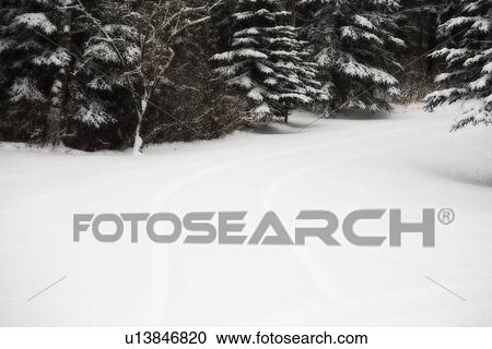 Fresh snowfall View Large Photo Image Stock Image - Fresh snowfall. Fotosearch