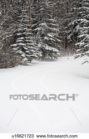 Fresh snowfall View Large Photo Image Stock Image - Fresh snowfall. Fotosearch