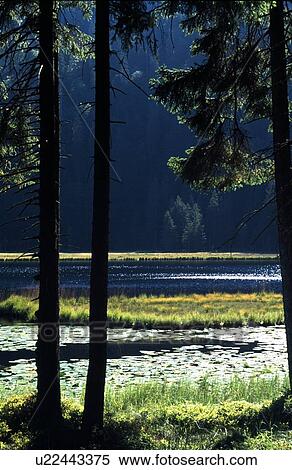 Lake in Arbersee, Germany View Large Photo Image Stock Photography - Lake in Arbersee, Germany. Fotosearch