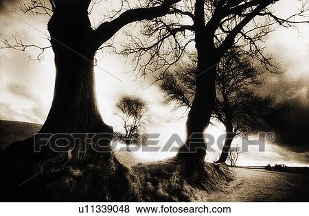 Navan Fort, County Armagh, Northern Ireland View Large Photo Image Stock Photo - Navan Fort, County Armagh, Northern Ireland. Fotosearch