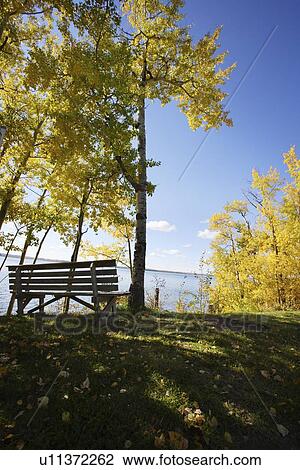 Stock Image - Park bench beside a lake in fall. Fotosearch
