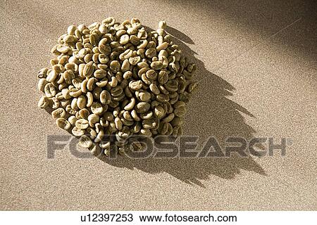 Pile of green, unroasted coffee beans View Large Photo Image Stock Image - Pile of green, unroasted coffee beans. Fotosearch