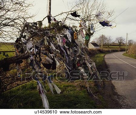 Stock Image - Prayer tree, Burnchurch, Co Kilkenny, Ireland. Fotosearch