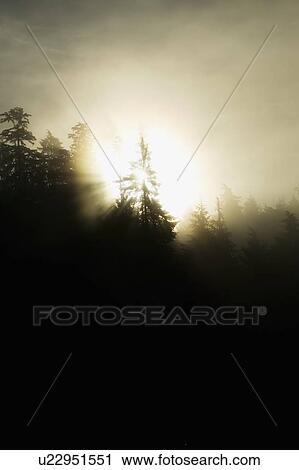 Stock Image - Sun shining through the mist. Fotosearch