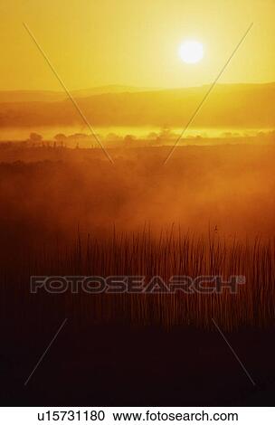 Sunrise, near Bunratty Castle, Co Clare, Ireland View Large Photo Image Stock Image - Sunrise, near Bunratty Castle, Co Clare, Ireland. Fotosearch