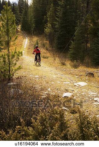 Picture - Teenager riding bike down path. Fotosearch