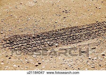 Tire track in dirt View Large Photo Image Stock Photo - Tire track in dirt. Fotosearch