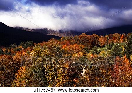 View of autumn colored trees in Stowe, Vermont, New England, USA View Large Photo Image Stock Photo - View of autumn colored trees in Stowe, Vermont, New England, USA. Fotosearch