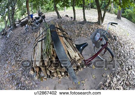A bicycle and a bundle of firewood View Large Photo Image Stock Image - A bicycle and a bundle of firewood. Fotosearch