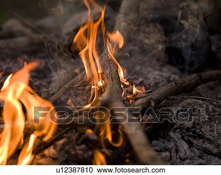 A campfire View Large Photo Image Stock Image - A campfire. Fotosearch