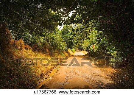 A dirt road View Large Photo Image Stock Photograph - A dirt road. Fotosearch