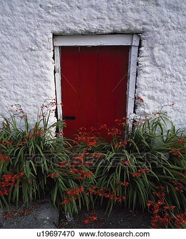 A red door View Large Photo Image Stock Image - A red door. Fotosearch