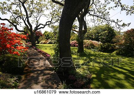 Abkhazi Gardens in Victoria, British Columbia, Canada View Large Photo Image Stock Photo - Abkhazi Gardens in Victoria, British Columbia, Canada. Fotosearch