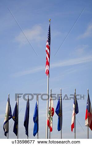 American flag, multiple flags View Large Photo Image Stock Photo - American flag, multiple flags. Fotosearch