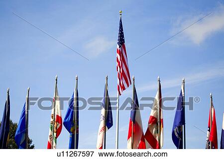 American flags, multiple flags View Large Photo Image Stock Photo - American flags, multiple flags. Fotosearch