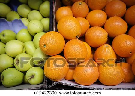Apples and oranges View Large Photo Image Stock Image - Apples and oranges. Fotosearch