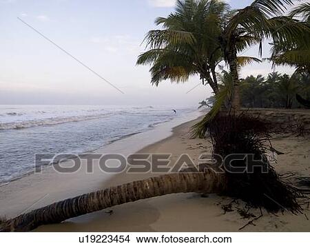 Arabian Sea, Kerala, India View Large Photo Image Picture - Arabian Sea, Kerala, India . Fotosearch