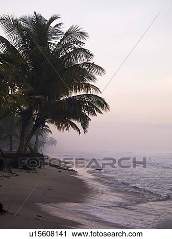 Stock Image - Arabian Sea, Kerala, India . Fotosearch