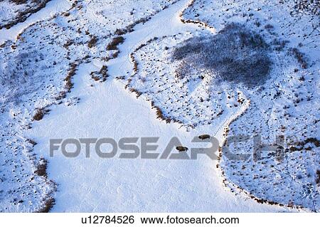 Arial view of snow covered land View Large Photo Image Stock Photograph - Arial view of snow covered land. Fotosearch