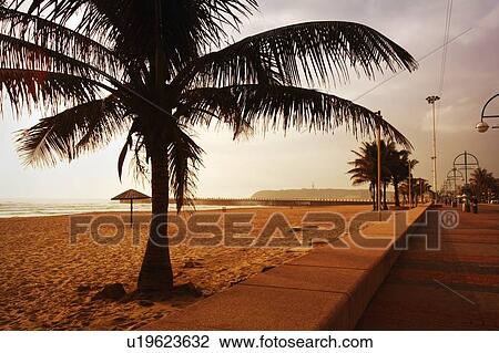 Beach, Durban, South Africa View Large Photo Image Stock Image - Beach, Durban, South Africa. Fotosearch