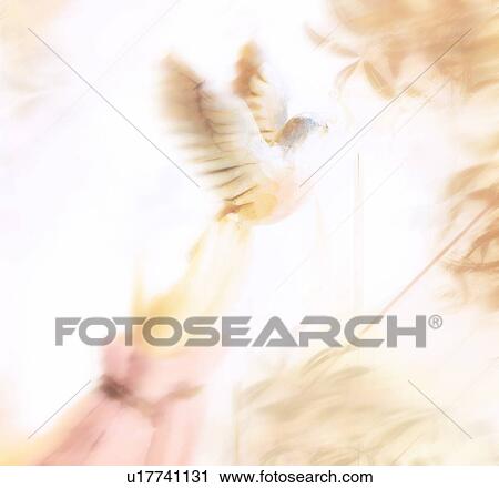 Bird being released View Large Photo Image Stock Image - Bird being released. Fotosearch