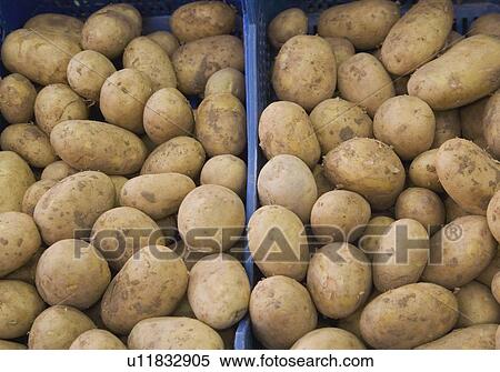 Box of fresh potatoes View Large Photo Image Stock Photography - Box of fresh potatoes. Fotosearch